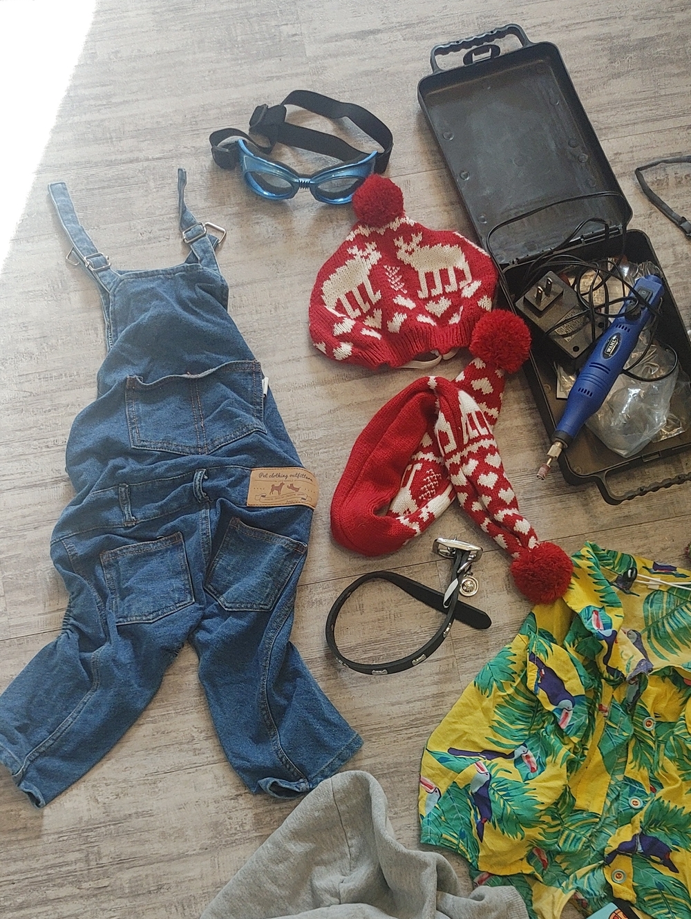 HUGE FRENCHIE LOT L/XL French Bulldog Clothes & Accessories - Picture 2 of 10